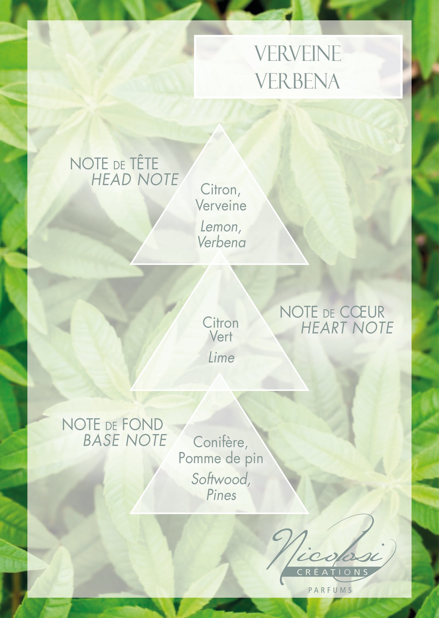 White Sand Diffuser - 13.5 floz