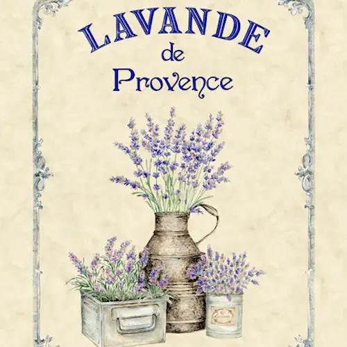 France Provence decorative dishtowels cotton Kitchen accessories