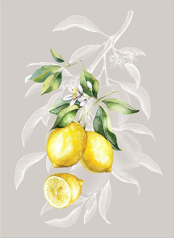 French Lemons Decorative Dishtowels Made in Provence Cotton Kitchen Accessories