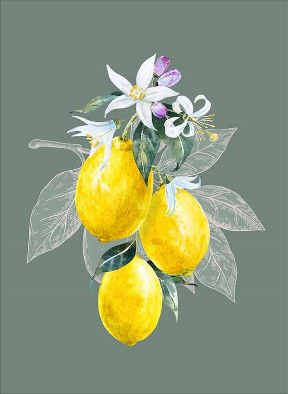 French Lemons Decorative Dishtowels Made in Provence Cotton Kitchen Accessories